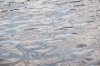 20120607_ (166)